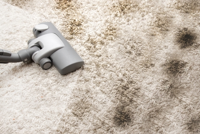Химчистка ковров и поверхностей мягкой мебели